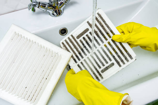 Best Professional Duct Cleaning Services  in East Grand Rapids, MI